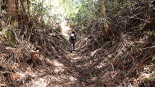 p4232295_thumb.jpg