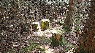 p4232297_thumb.jpg