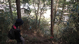 p4232298_thumb.jpg