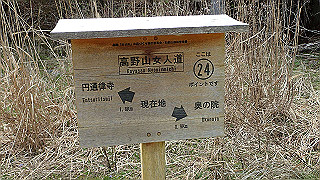 p4232304_thumb.jpg