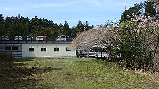 p4232305_thumb.jpg