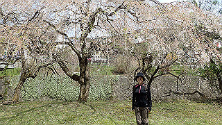 p4232310_thumb.jpg