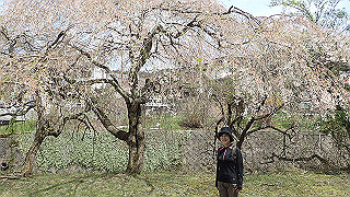 p4232311_thumb.jpg