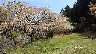 p4232314_thumb.jpg