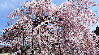 p4232319_thumb.jpg