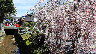 p4232326_thumb.jpg