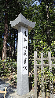 p4232327_thumb.jpg