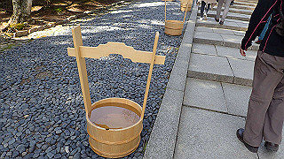 p4232329_thumb.jpg