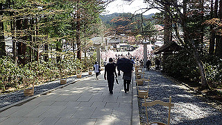 p4232334_thumb.jpg