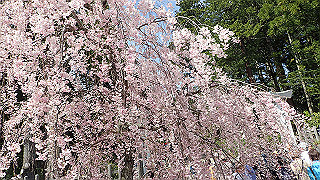 p4232336_thumb.jpg