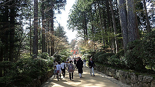 p4232337_thumb.jpg