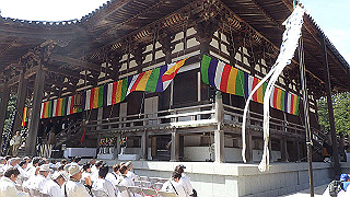 p4232352_thumb.jpg