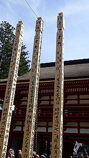 p4232360_thumb.jpg