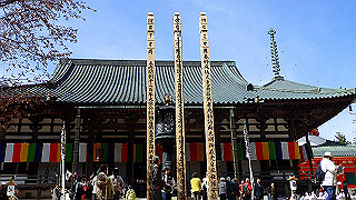 p4232361_thumb.jpg