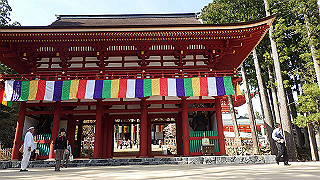 p4232371_thumb.jpg