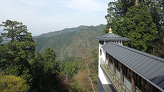 p4232380_thumb.jpg