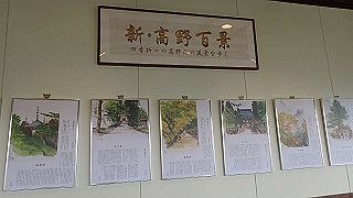p4232381_thumb.jpg