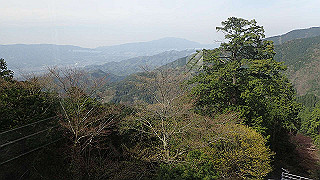 p4232382_thumb.jpg