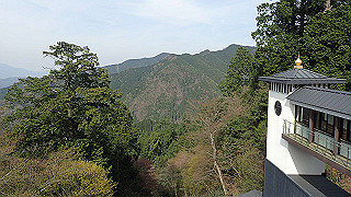 p4232383_thumb.jpg