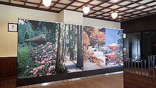 p4232384_thumb.jpg