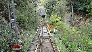 p4232393_thumb.jpg