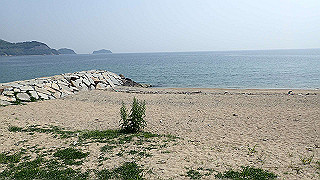 p4252401_thumb.jpg