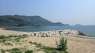 p4252402_thumb.jpg