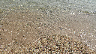 p4252404_thumb.jpg