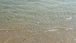 p4252405_thumb.jpg