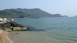 p4252406_thumb.jpg