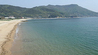 p4252408_thumb.jpg