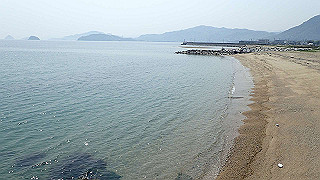 p4252409_thumb.jpg