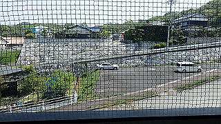 p4252419_thumb.jpg