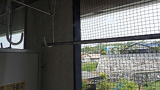 p4252420_thumb.jpg