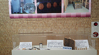 p4252434_thumb.jpg