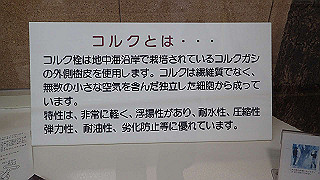 p4252435_thumb.jpg