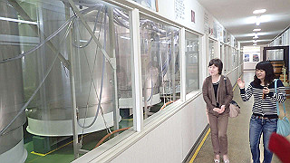 p4252437_thumb.jpg