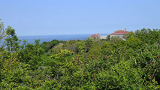 p4252439_thumb.jpg