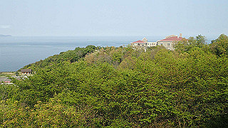 p4252445_thumb.jpg