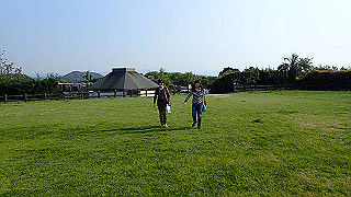 p4252450_thumb.jpg