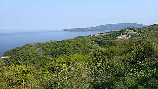 p4252452_thumb.jpg