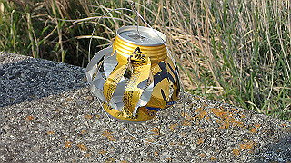 p4252460_thumb.jpg