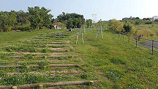 p4252463_thumb.jpg