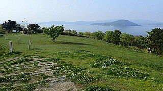 p4252464_thumb.jpg