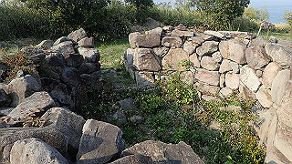 p4252468_thumb.jpg