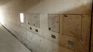 p4252493_thumb.jpg