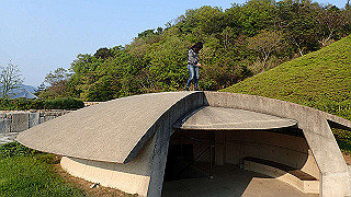 p4252495_thumb.jpg