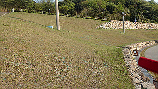 p4252514_thumb.jpg