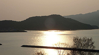 p4252522_thumb.jpg
