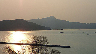 p4252526_thumb.jpg
